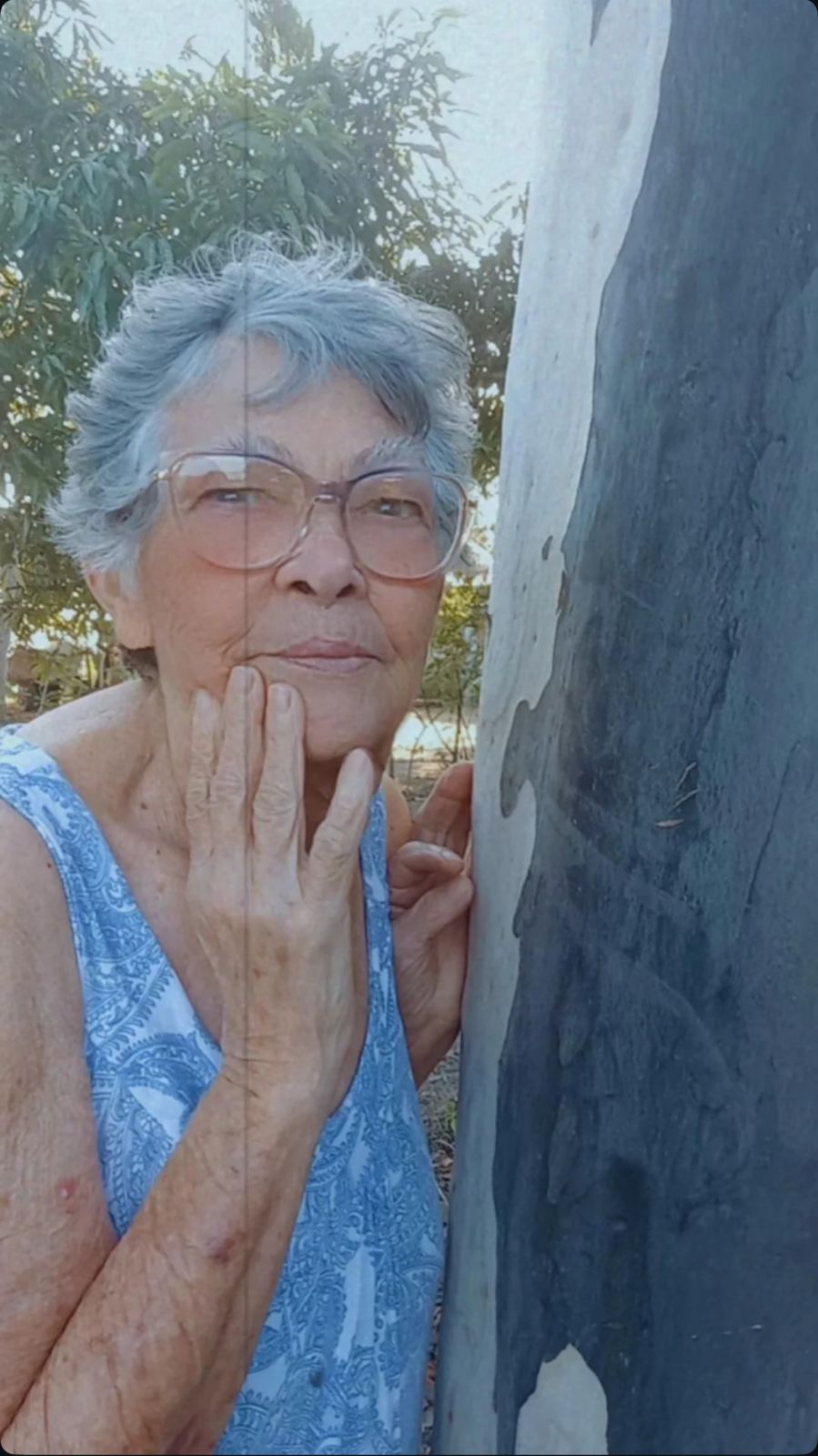 FILOMENA DA SILVA GOES